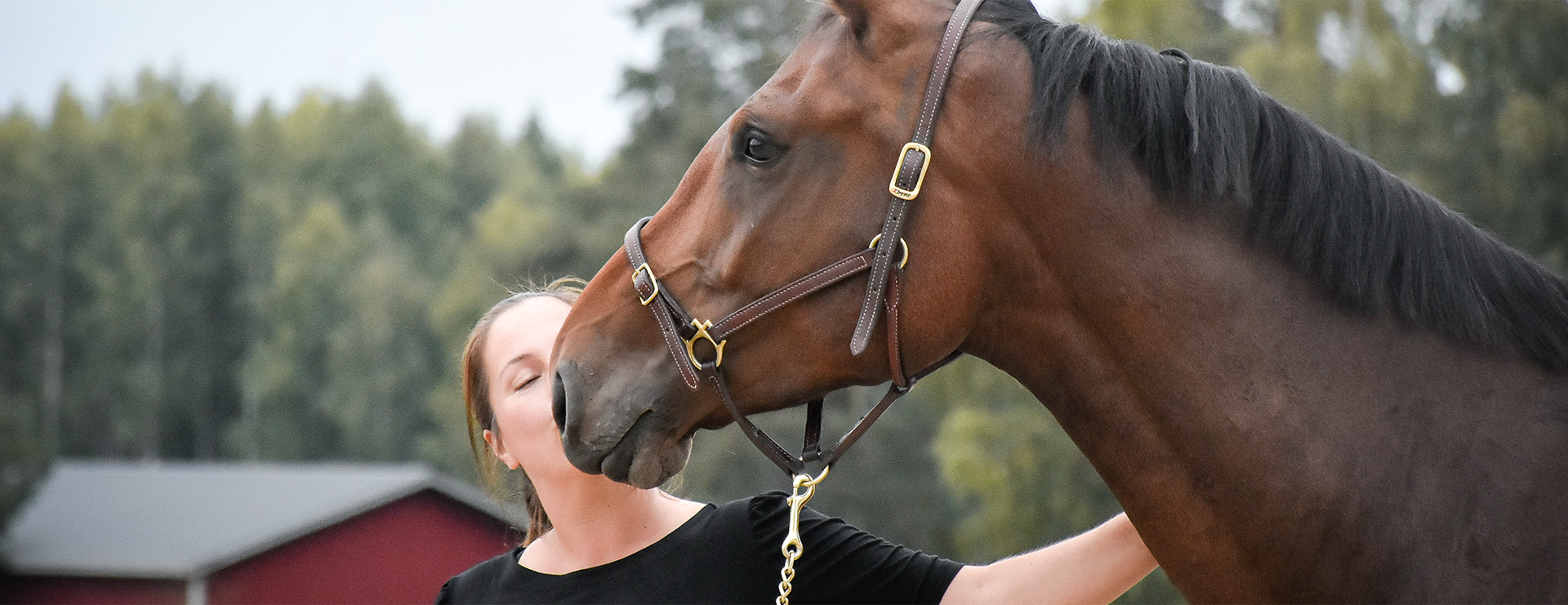 Kristall Horse Oy